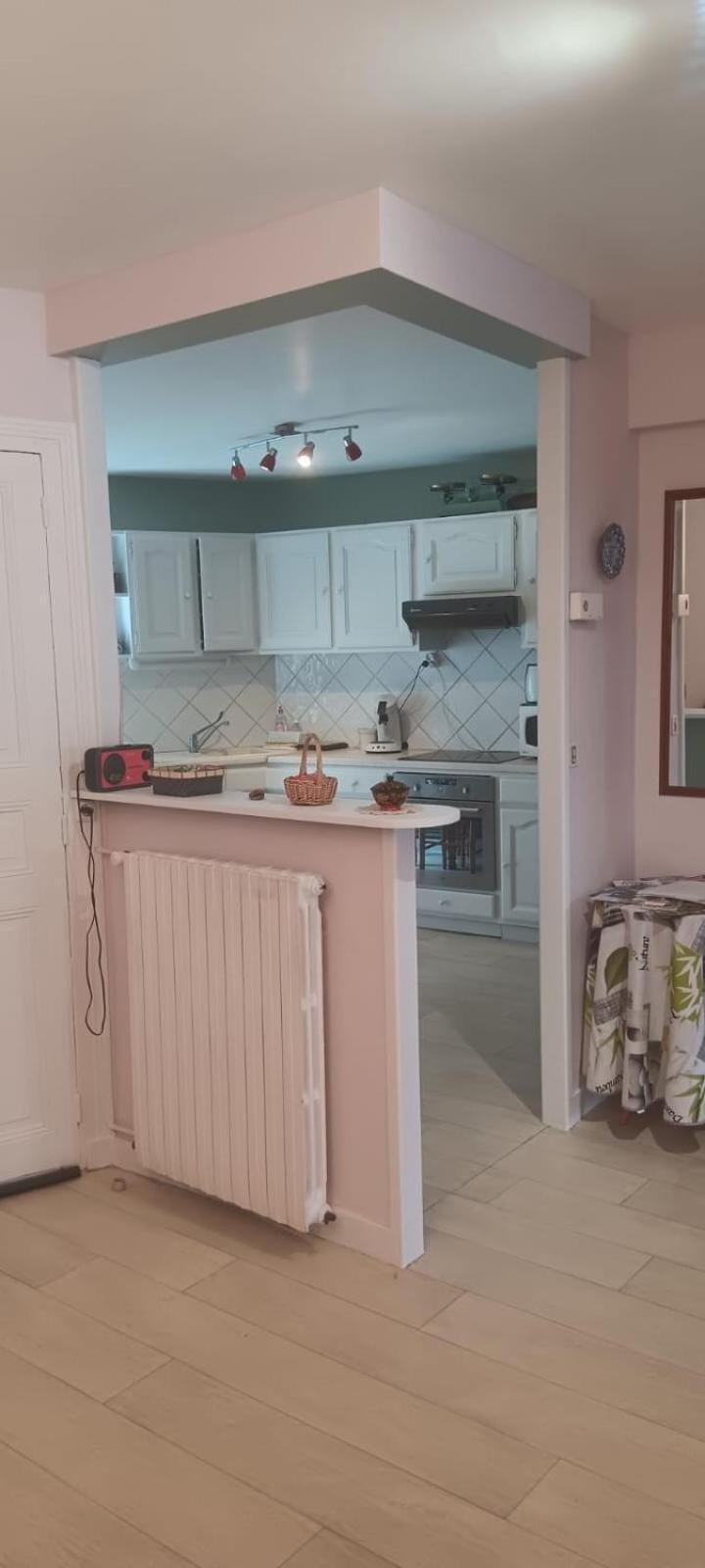 Appartement 120 M² Duplex Coeur Historique Au Calme Le Puy-en-Velay Eksteriør billede