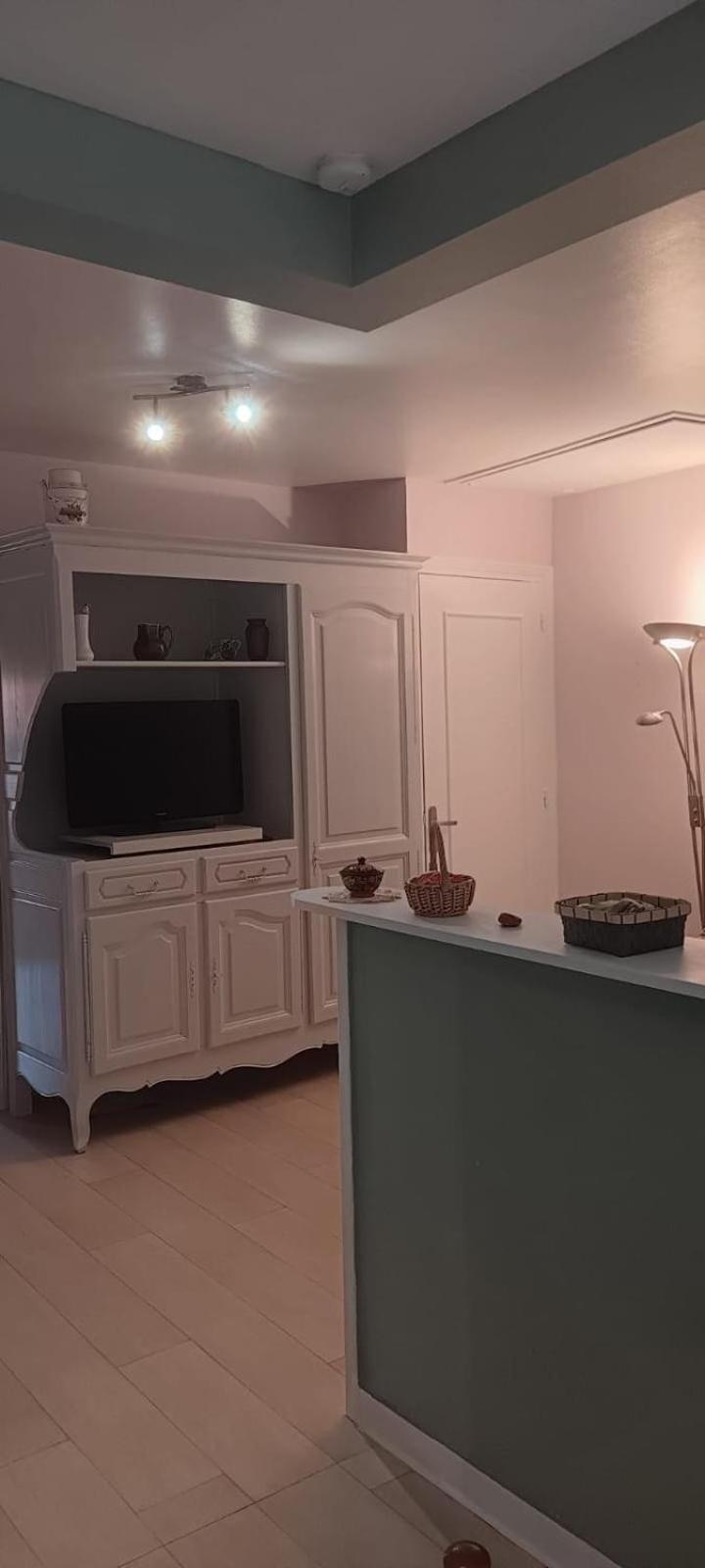 Appartement 120 M² Duplex Coeur Historique Au Calme Le Puy-en-Velay Eksteriør billede